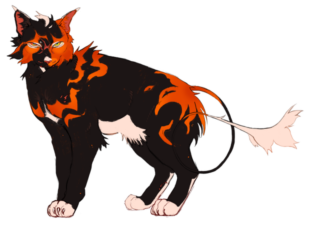 transparent, unshaded